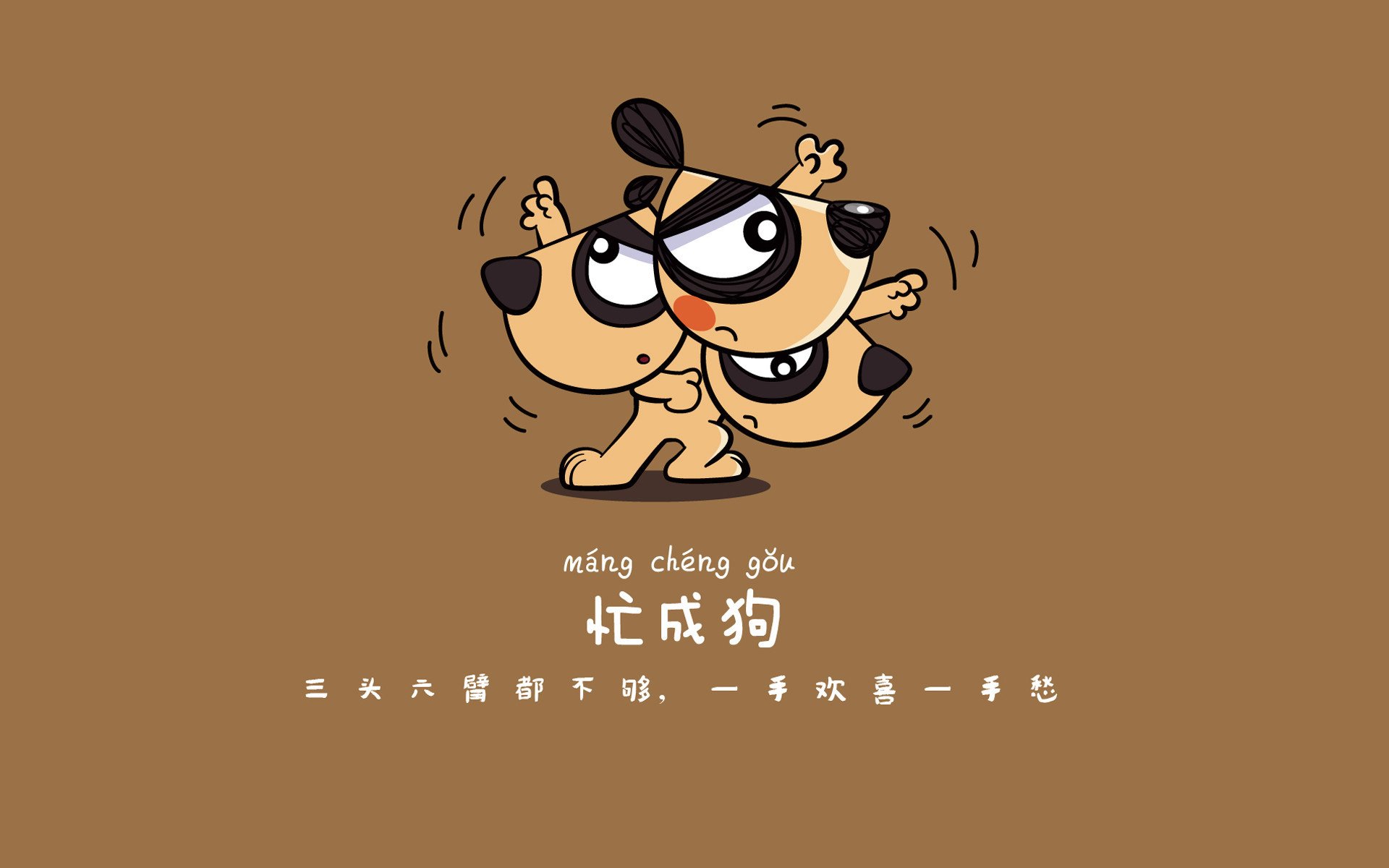 潜水装备有哪些名字呢图片（潜水装备图片大全）